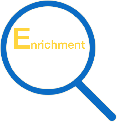 Enrichment report